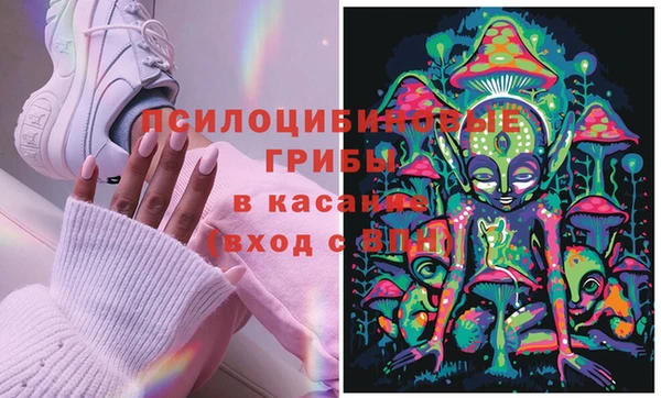 кокс Лагань