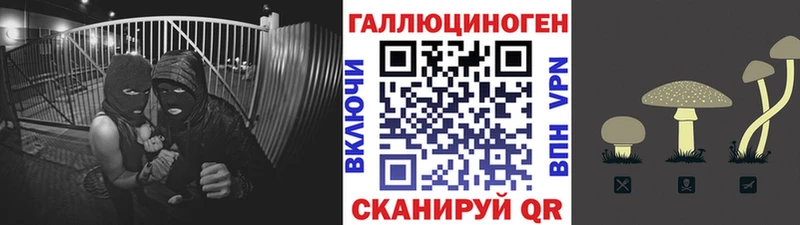 Псилоцибиновые грибы ЛСД  Купить закладки  Высоковск 